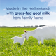 Goat Milk-Based Infant Formula